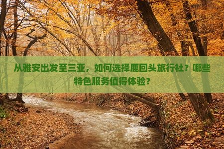 从雅安出发至三亚，如何选择鹿回头旅行社？哪些特色服务值得体验？