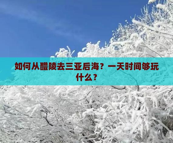 如何从醴陵去三亚后海？一天时间够玩什么？