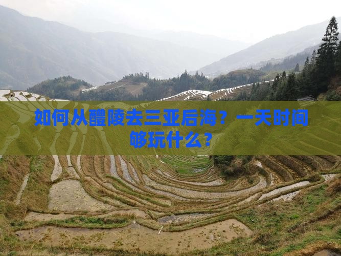 如何从醴陵去三亚后海？一天时间够玩什么？