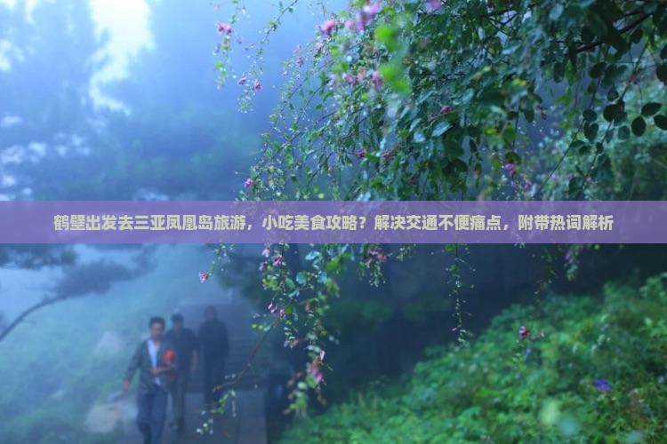 鹤壁出发去三亚凤凰岛旅游，小吃美食攻略？解决交通不便痛点，附带热词解析