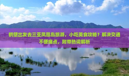 鹤壁出发去三亚凤凰岛旅游，小吃美食攻略？解决交通不便痛点，附带热词解析
