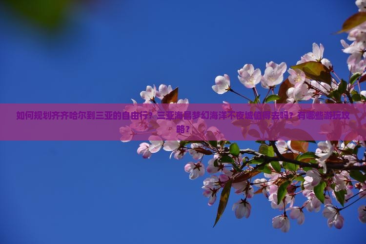 如何规划齐齐哈尔到三亚的自由行？三亚海昌梦幻海洋不夜城值得去吗？有哪些游玩攻略？