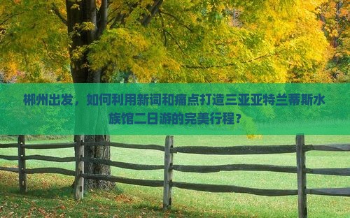 郴州出发，如何利用新词和痛点打造三亚亚特兰蒂斯水族馆二日游的完美行程？