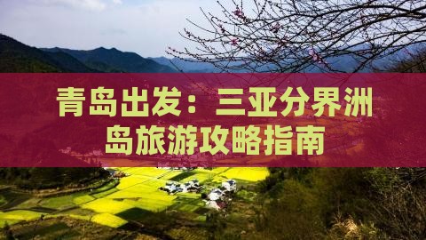 青岛出发：三亚分界洲岛旅游攻略指南