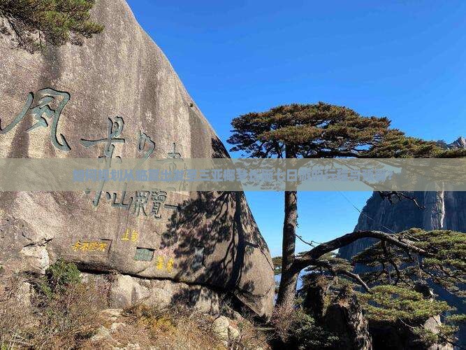 如何规划从临夏出发至三亚椰梦长廊七日游的行程与预算？