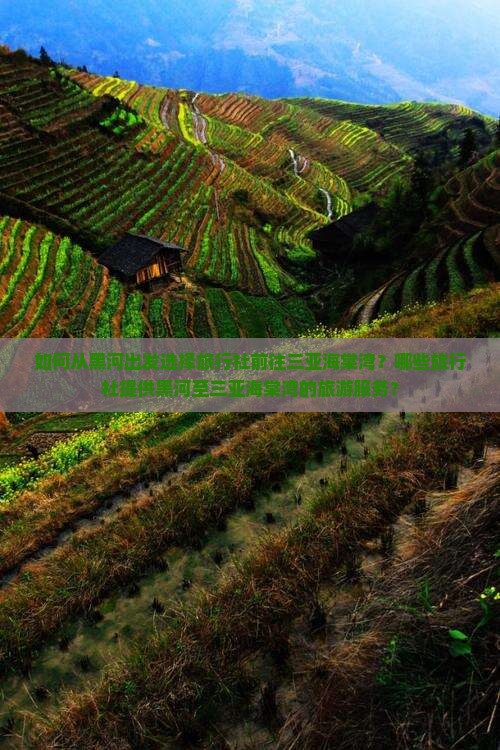 如何从黑河出发选择旅行社前往三亚海棠湾？哪些旅行社提供黑河至三亚海棠湾的旅游服务？