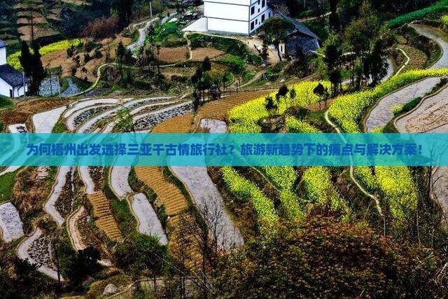 为何梧州出发选择三亚千古情旅行社？旅游新趋势下的痛点与解决方案！