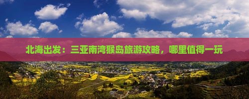 北海出发：三亚南湾猴岛旅游攻略，哪里值得一玩