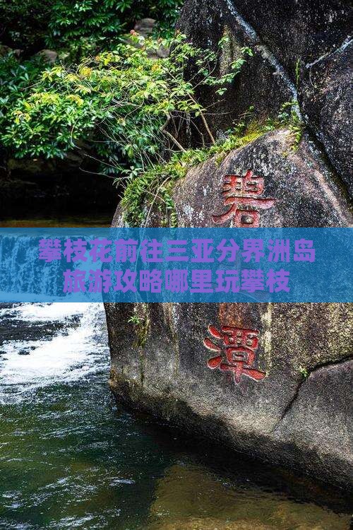 攀枝花前往三亚分界洲岛旅游攻略哪里玩攀枝