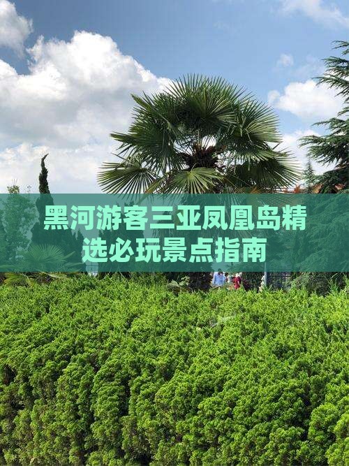 黑河游客三亚凤凰岛精选必玩景点指南