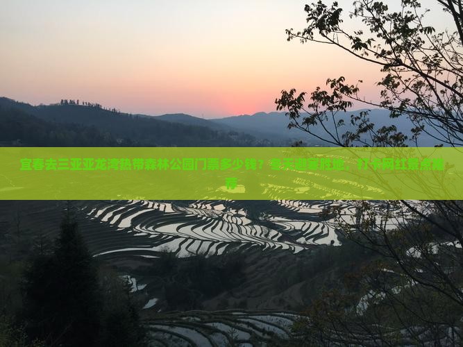 宜春去三亚亚龙湾热带森林公园门票多少钱？冬天避寒胜地，打卡网红景点推荐