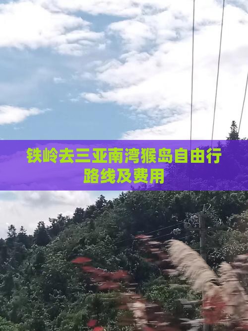 铁岭去三亚南湾猴岛自由行路线及费用