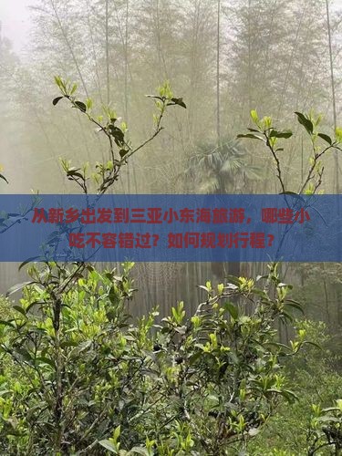 从新乡出发到三亚小东海旅游，哪些小吃不容错过？如何规划行程？