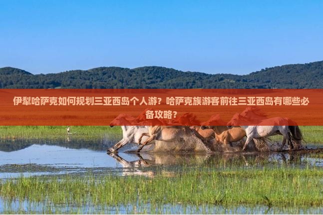 伊犁哈萨克如何规划三亚西岛个人游？哈萨克族游客前往三亚西岛有哪些必备攻略？