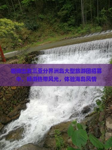 临猗出发三亚分界洲岛大型旅游团招募中,畅游热带风光,体验海岛风情 临猗出发三亚分界洲岛大型旅游团招募中,畅游热带风光,体验海岛风情