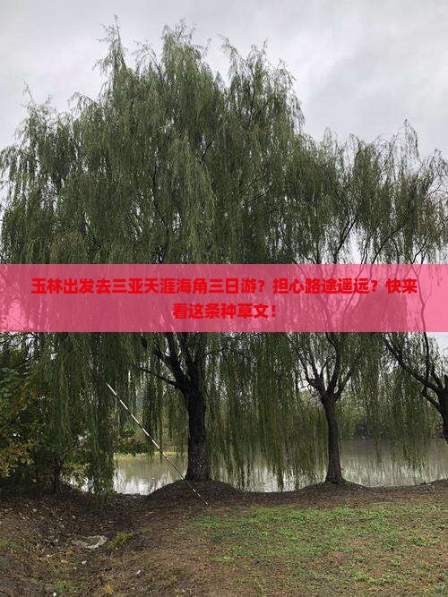 玉林出发去三亚天涯海角三日游？担心路途遥远？快来看这条种草文！