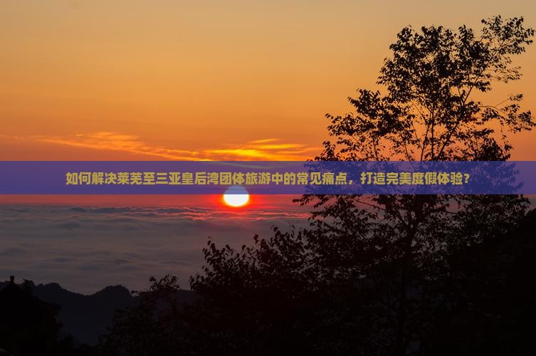 如何解决莱芜至三亚皇后湾团体旅游中的常见痛点，打造完美度假体验？
