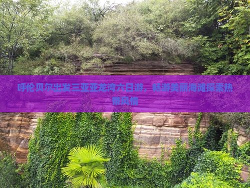 呼伦贝尔出发三亚亚龙湾六日游，畅游美丽海滩探索热带风情