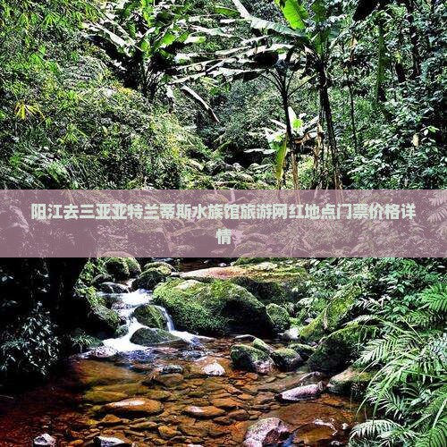 阳江去三亚亚特兰蒂斯水族馆旅游网红地点门票价格详情