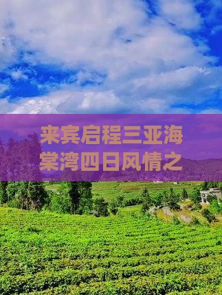 来宾启程三亚海棠湾四日风情之旅
