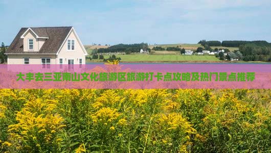 大丰去三亚南山文化旅游区旅游打卡点攻略及热门景点推荐