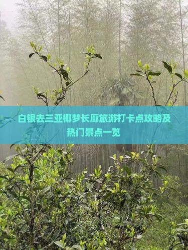 白银去三亚椰梦长廊旅游打卡点攻略及热门景点一览