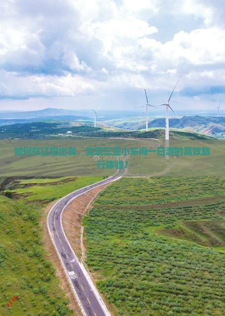 如何在辽阳出发，实现三亚小东海一日游的高效旅行体验？
