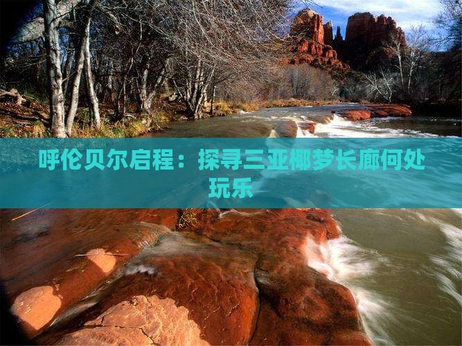 呼伦贝尔启程：探寻三亚椰梦长廊何处玩乐