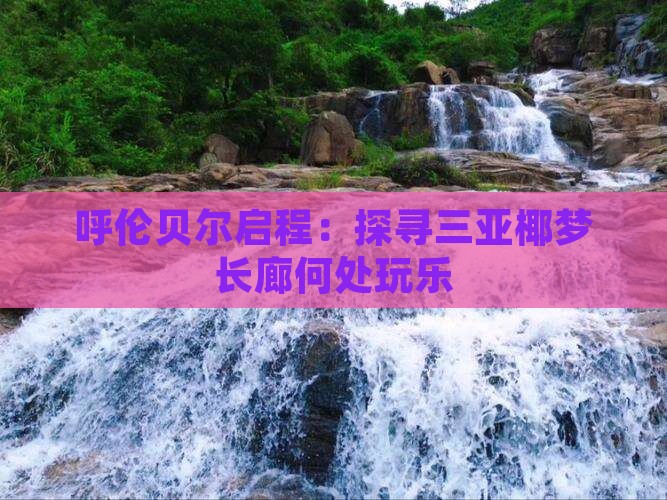 呼伦贝尔启程：探寻三亚椰梦长廊何处玩乐