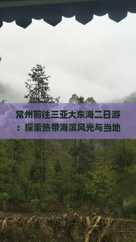常州前往三亚大东海二日游：探索热带海滨风光与当地文化体验之旅