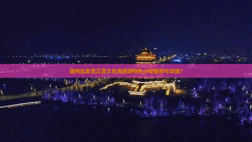 随州出发至三亚大东海旅游特色小吃推荐与攻略？