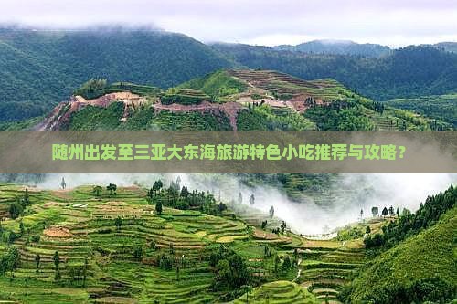 随州出发至三亚大东海旅游特色小吃推荐与攻略？