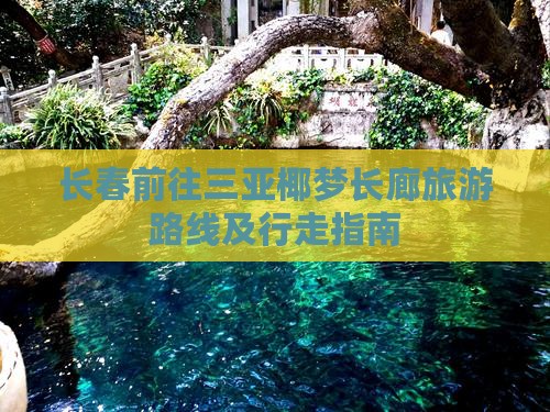 长春前往三亚椰梦长廊旅游路线及行走指南