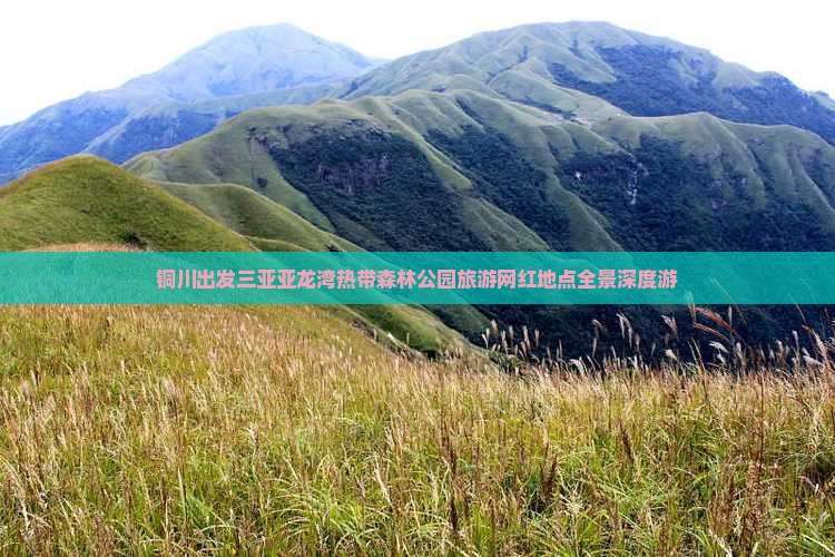 铜川出发三亚亚龙湾热带森林公园旅游网红地点全景深度游