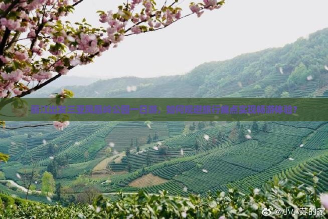 丽江出发三亚凤凰岭公园一日游，如何规避旅行痛点实现畅游体验？