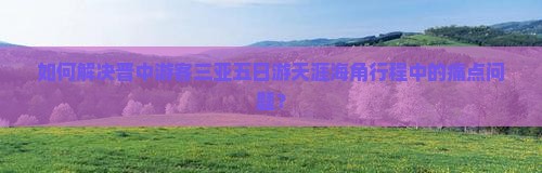 如何解决晋中游客三亚五日游天涯海角行程中的痛点问题？