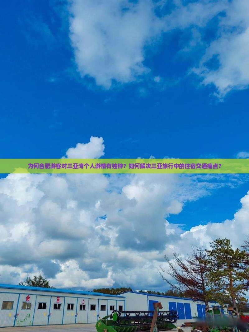 为何合肥游客对三亚湾个人游情有独钟？如何解决三亚旅行中的住宿交通痛点？