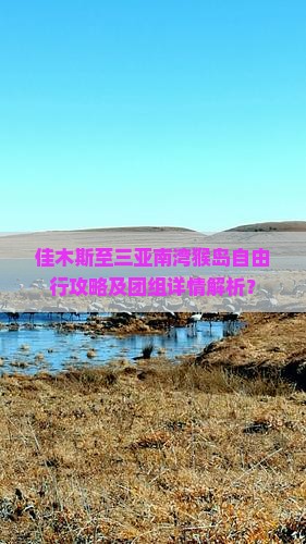 佳木斯至三亚南湾猴岛自由行攻略及团组详情解析？