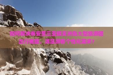 如何解决泰安至三亚蜈支洲岛大型旅游团出行难题，满足游客个性化需求？