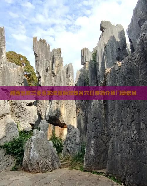 湘西出发三亚亚龙湾国际玫瑰谷六日游简介及门票信息