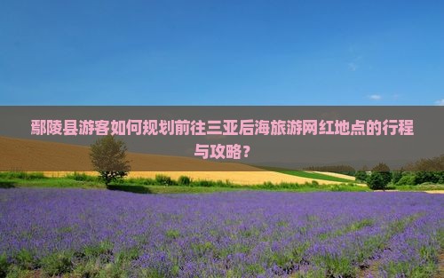 鄢陵县游客如何规划前往三亚后海旅游网红地点的行程与攻略？