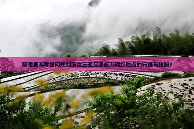 鄢陵县游客如何规划前往三亚后海旅游网红地点的行程与攻略？