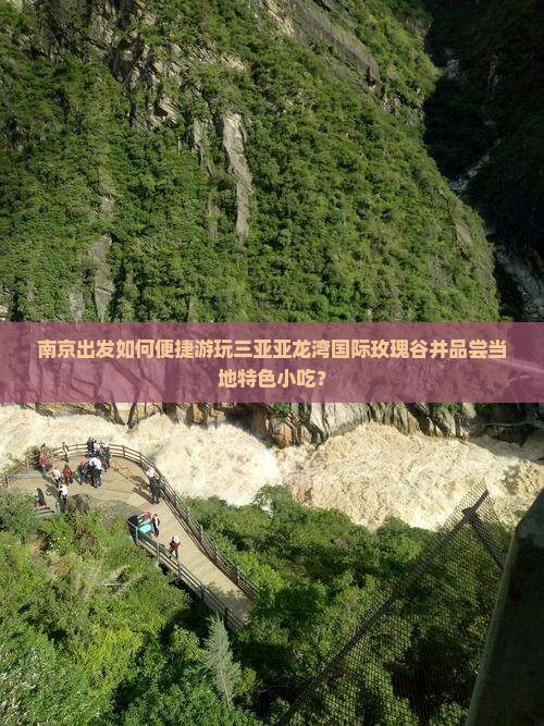 南京出发如何便捷游玩三亚亚龙湾国际玫瑰谷并品尝当地特色小吃？