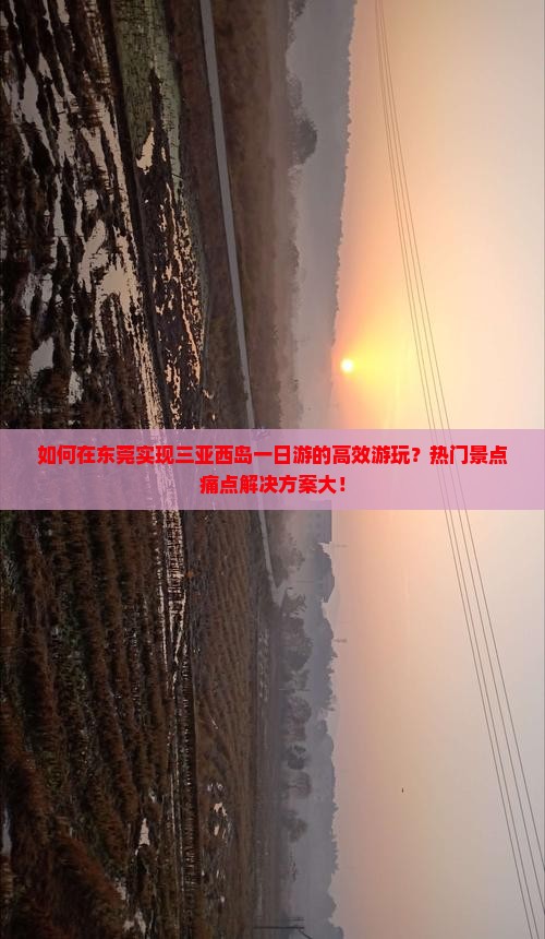 如何在东莞实现三亚西岛一日游的高效游玩？热门景点痛点解决方案大！