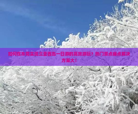 如何在东莞实现三亚西岛一日游的高效游玩？热门景点痛点解决方案大！