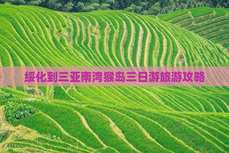 绥化到三亚南湾猴岛三日游旅游攻略