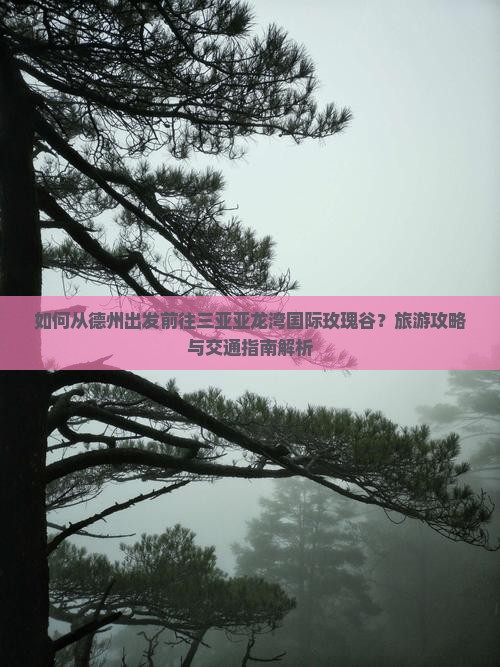 如何从德州出发前往三亚亚龙湾国际玫瑰谷？旅游攻略与交通指南解析