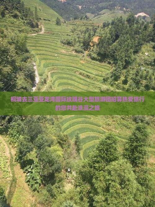 桐城去三亚亚龙湾国际玫瑰谷大型旅游团招募热爱旅行的您共赴浪漫之旅
