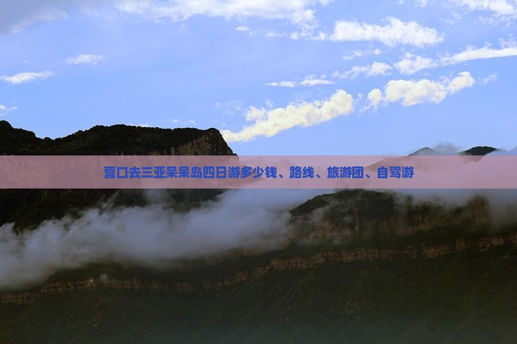 营口去三亚呆呆岛四日游多少钱、路线、旅游团、自驾游