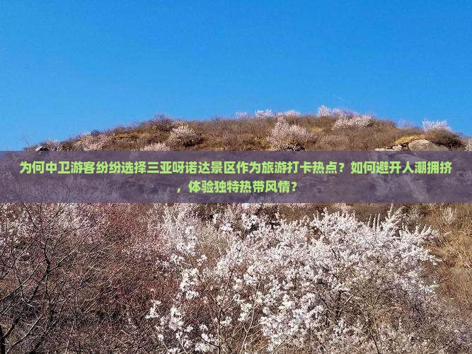 为何中卫游客纷纷选择三亚呀诺达景区作为旅游打卡热点？如何避开人潮拥挤，体验独特热带风情？